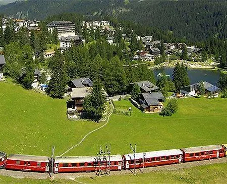 Cristallo Ароза